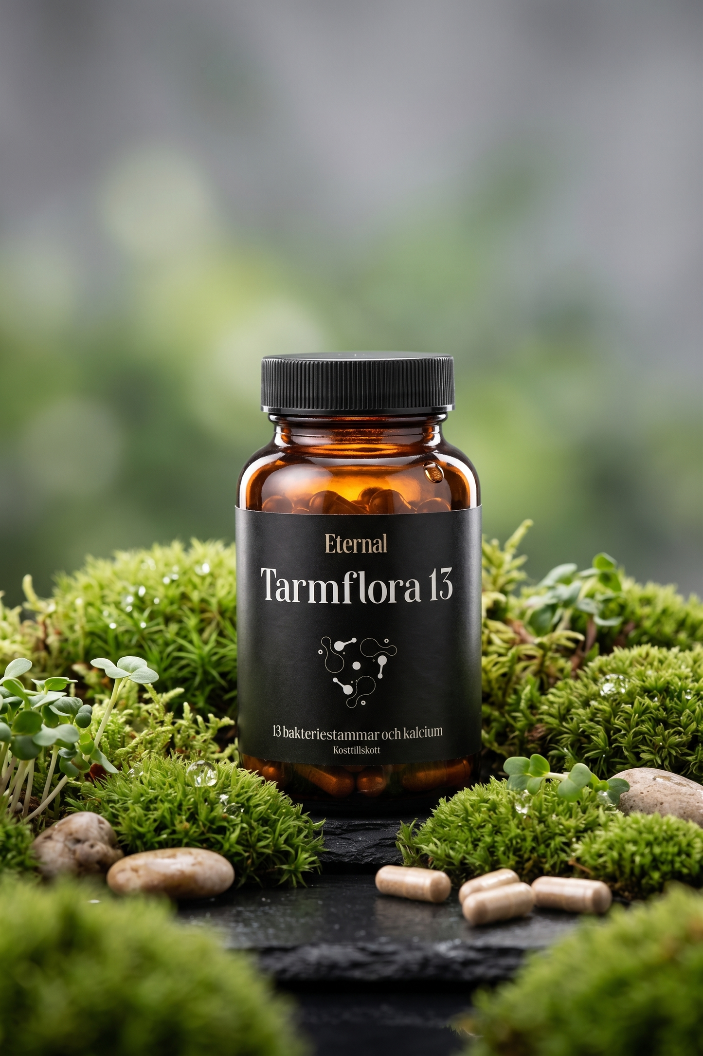 Tarmflora 13